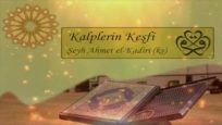 Kalplerin Keşfi-2017 // Ders- 30 (Nefse Uymanın Zararları ve Züht)