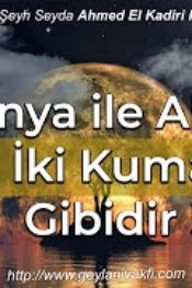 Dünya İle Ahiret İki Kuma Gibidir !