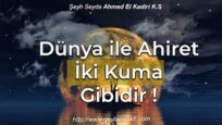 Dünya İle Ahiret İki Kuma Gibidir !